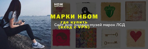 ПСИЛОЦИБИНОВЫЕ ГРИБЫ Арсеньев