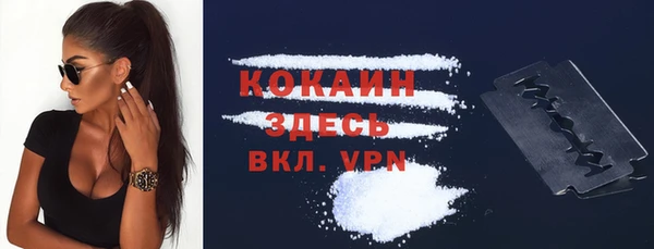 ПСИЛОЦИБИНОВЫЕ ГРИБЫ Арсеньев