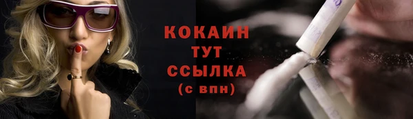 ПСИЛОЦИБИНОВЫЕ ГРИБЫ Арсеньев