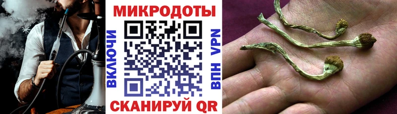 Псилоцибиновые грибы прущие грибы  закладки  Саянск 